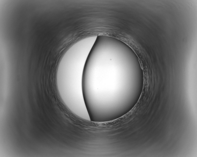 X0000086230696200703290944