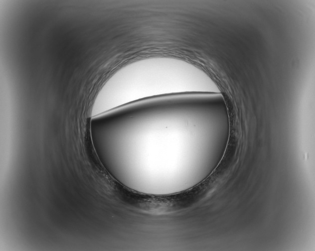 X0000086230697200703290944