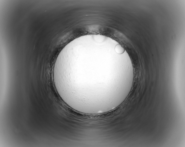 X0000086230702200703290944