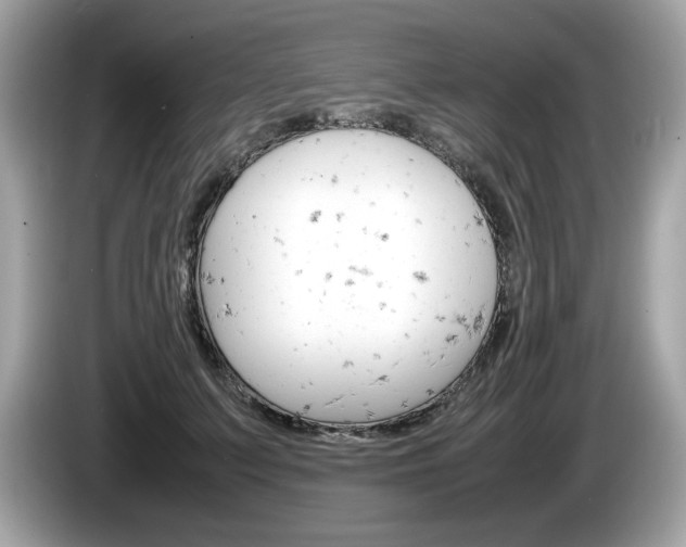 X0000086230703200703290944