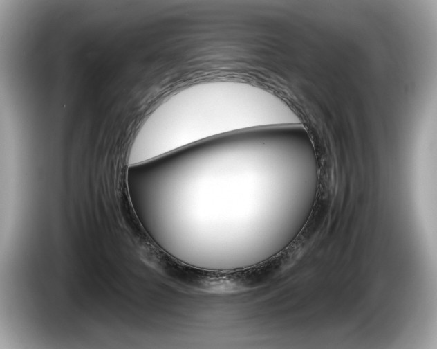 X0000086230704200703290944