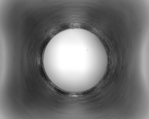 X0000086230706200703290944