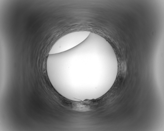 X0000086230709200703290944