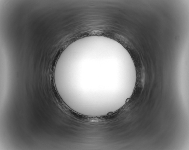 X0000086230710200703290944