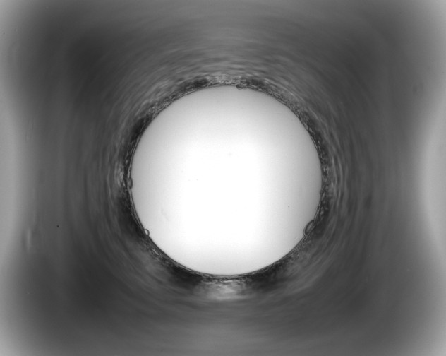 X0000086230711200703290944
