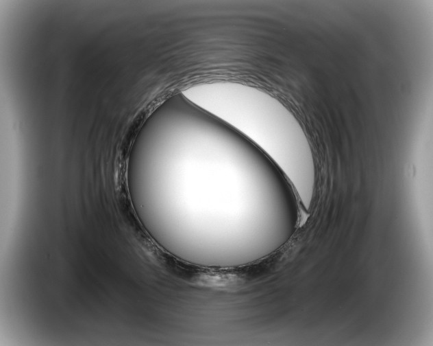 X0000086230712200703290944
