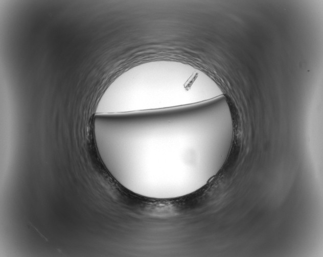 X0000086230715200703290943