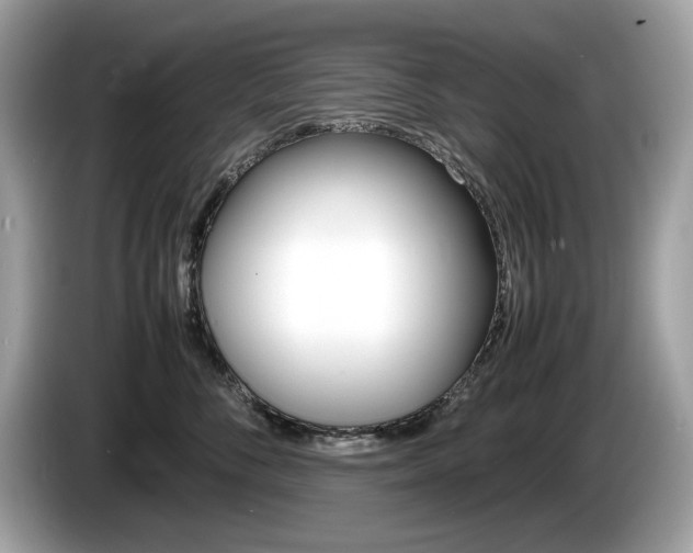 X0000086230716200703290943
