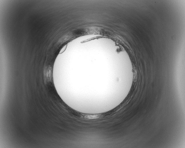 X0000086230717200703290943