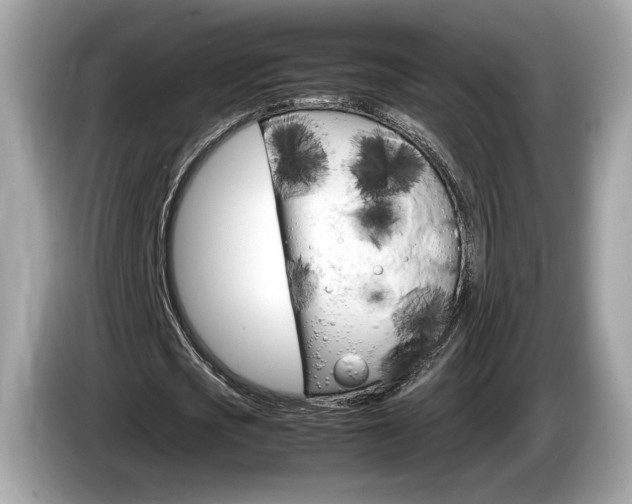 X0000086230721200703290943