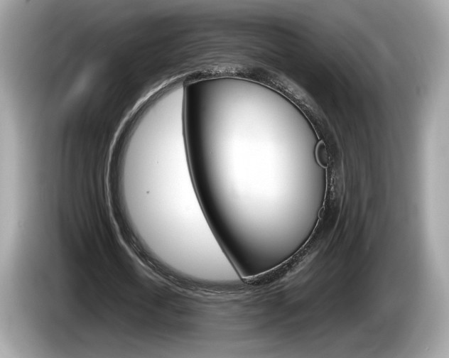 X0000086230722200703290943