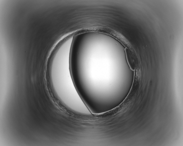 X0000086230724200703290943