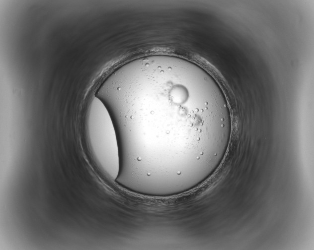 X0000086230725200703290943