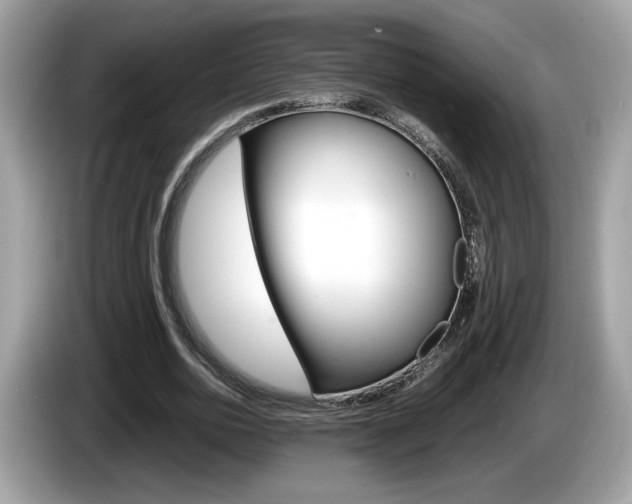X0000086230726200703290943