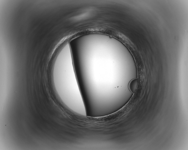 X0000086230727200703290943