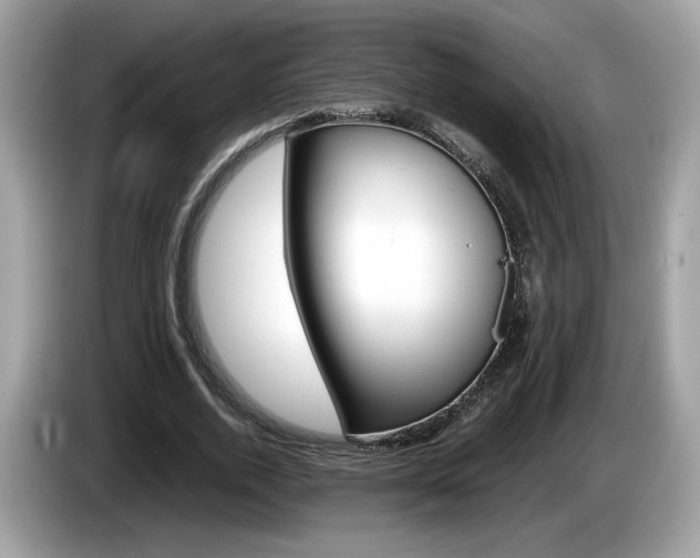 X0000086230728200703290943