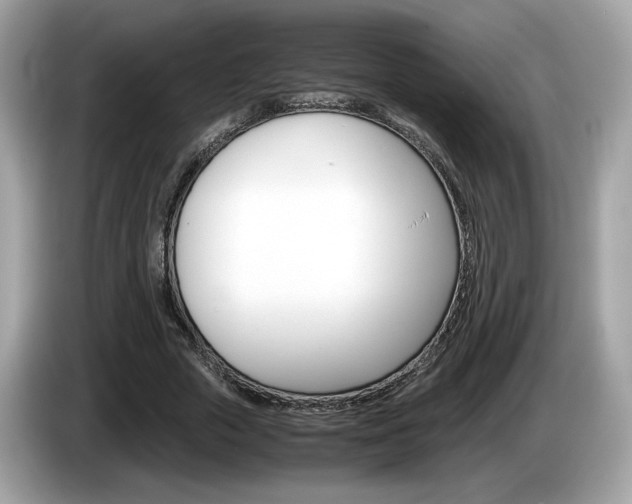 X0000086230729200703290943