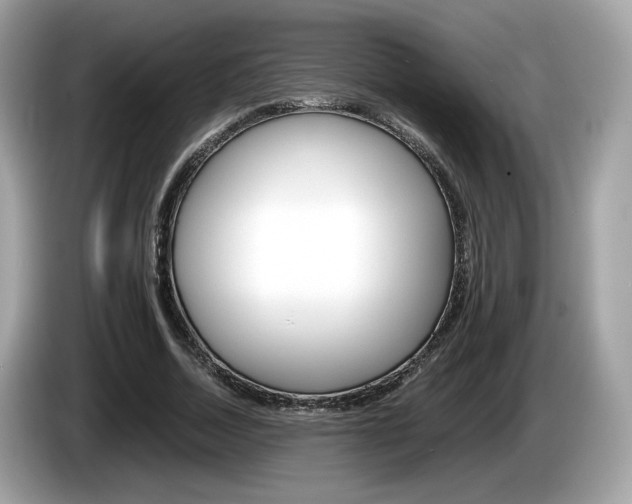 X0000086230730200703290943