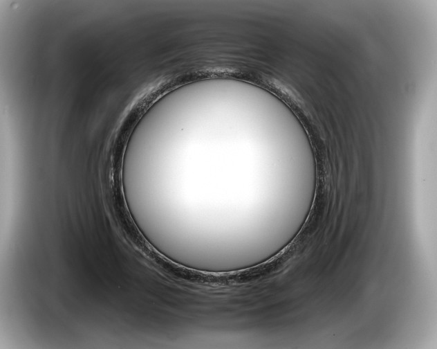 X0000086230731200703290943