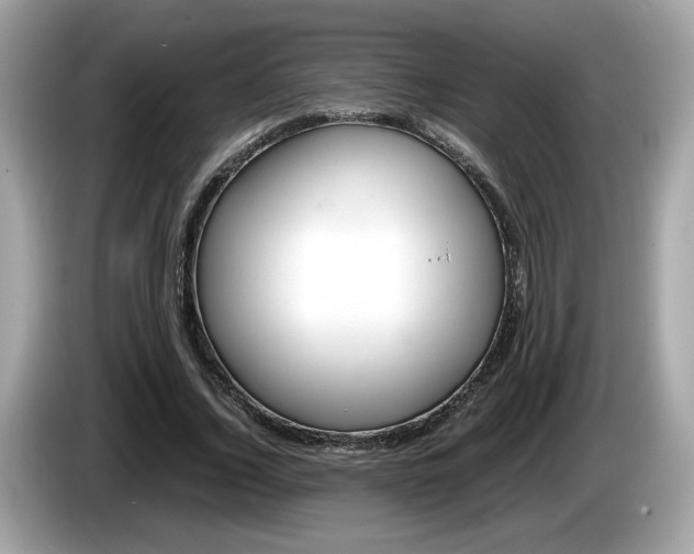 X0000086230732200703290943