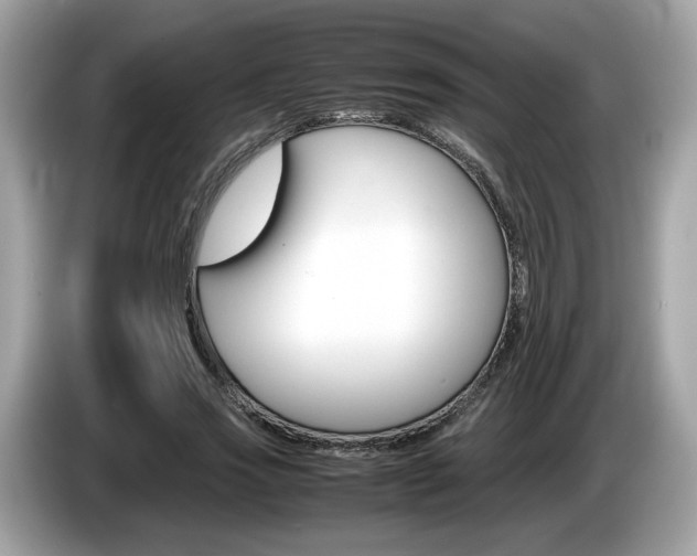 X0000086230733200703290943