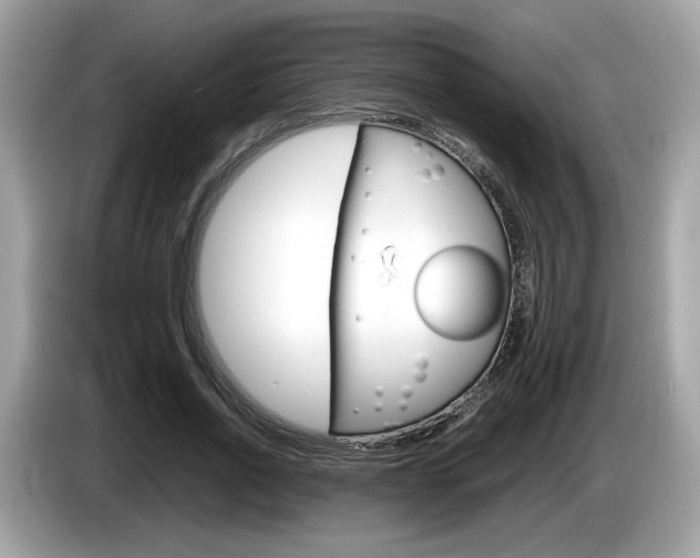 X0000086230734200703290943