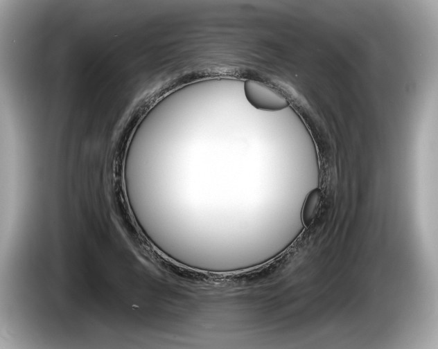 X0000086230736200703290943