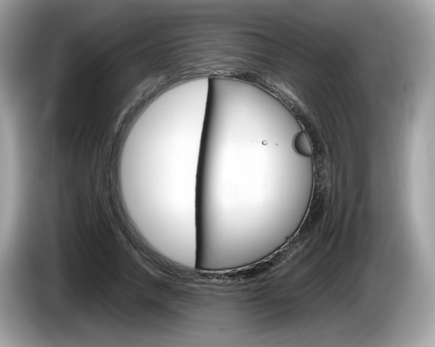 X0000086230738200703290943