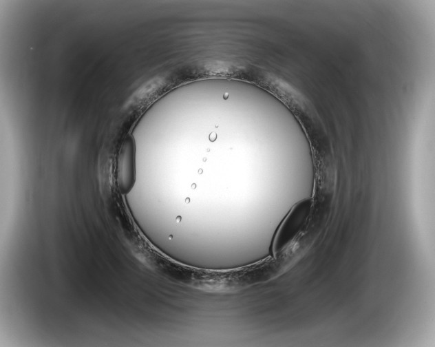 X0000086230740200703290943