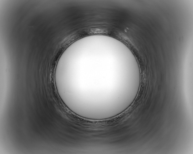 X0000086230741200703290943