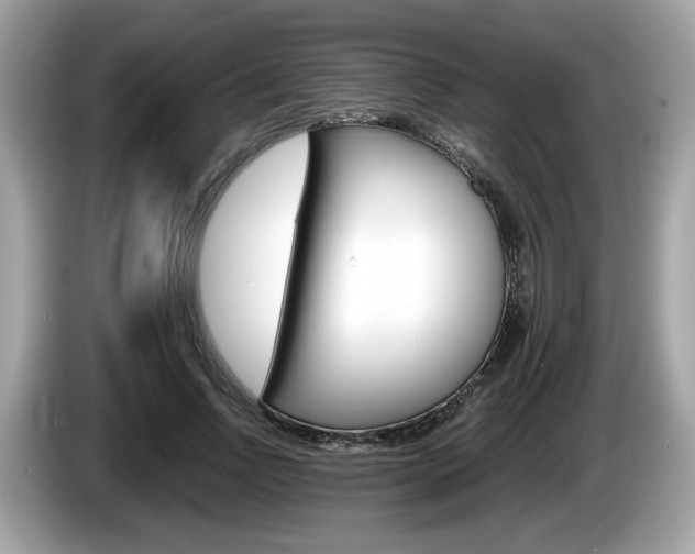 X0000086230742200703290943