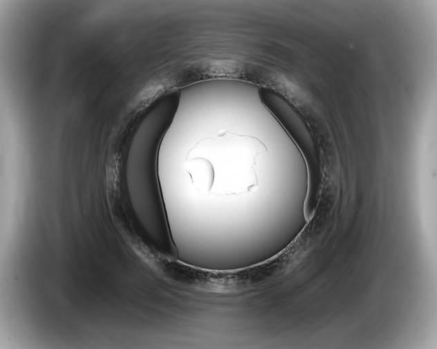 X0000086230744200703290943