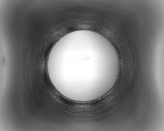 X0000086230745200703290943