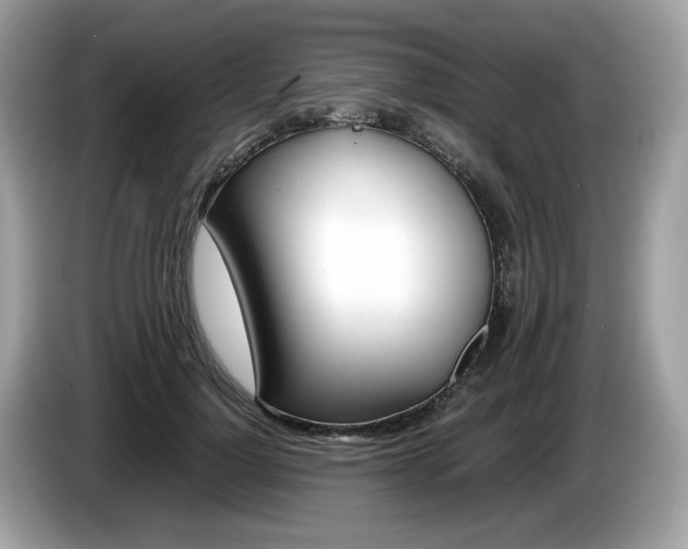 X0000086230748200703290943
