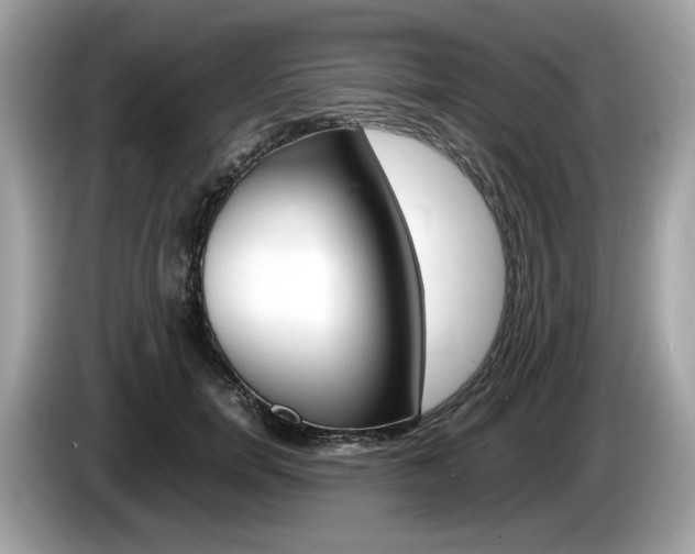 X0000086230750200703290943