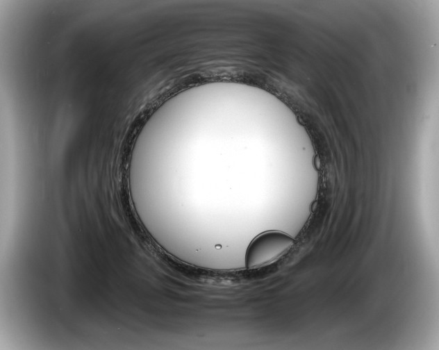 X0000086230751200703290943
