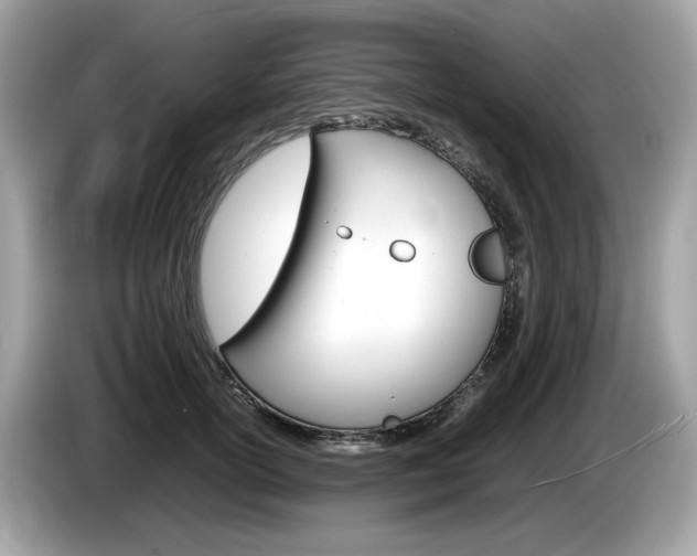 X0000086230754200703290943