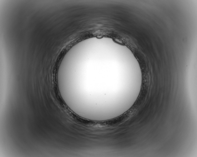 X0000086230755200703290943
