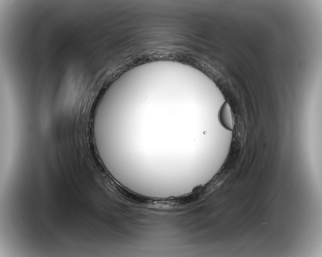 X0000086230758200703290943