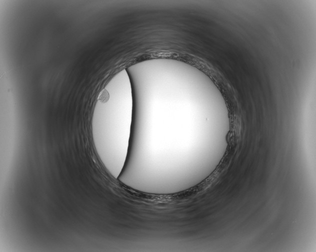 X0000086230761200703290943