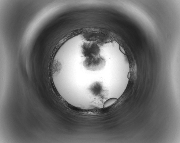 X0000086230765200703290943