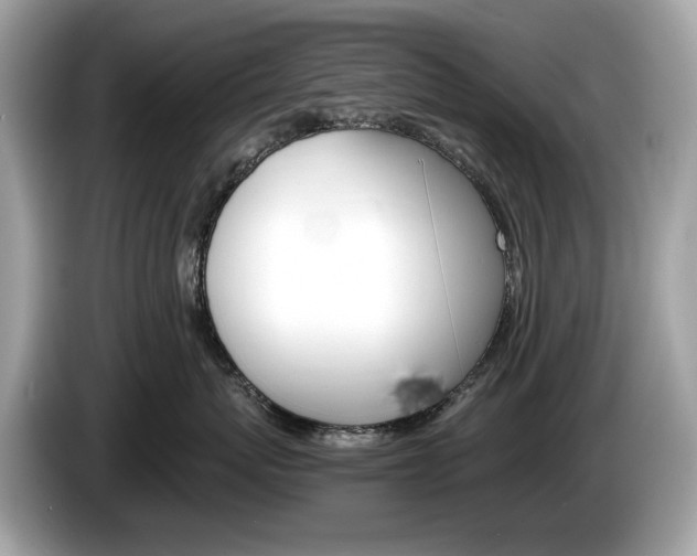 X0000086230767200703290943