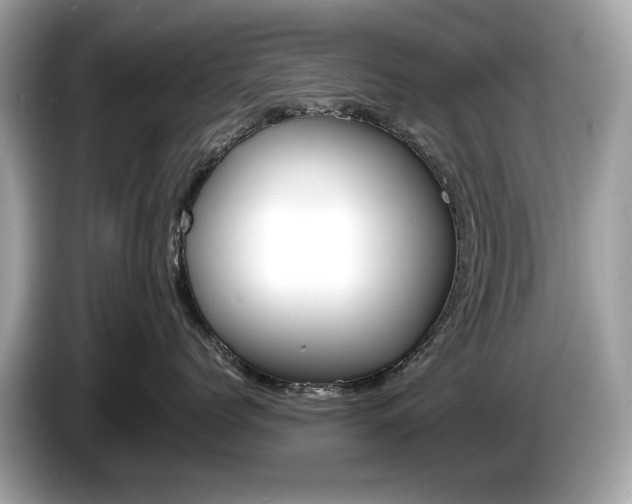 X0000086230768200703290943