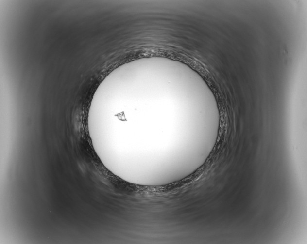 X0000086230770200703290943