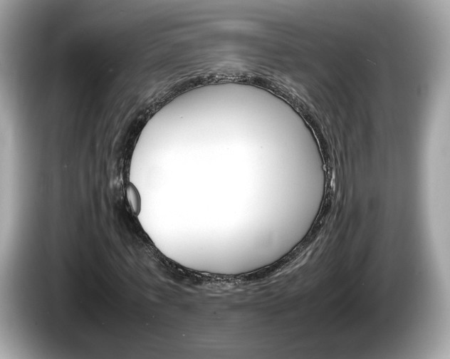 X0000086230771200703290943