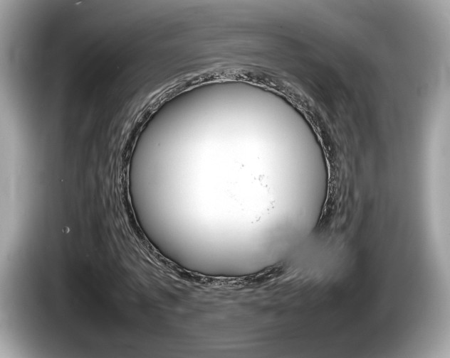 X0000086230773200703290943