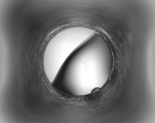 X0000086230775200703290943