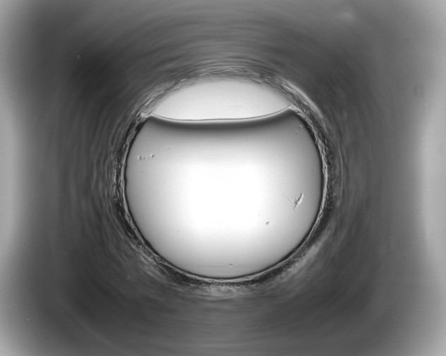 X0000086230777200703290943