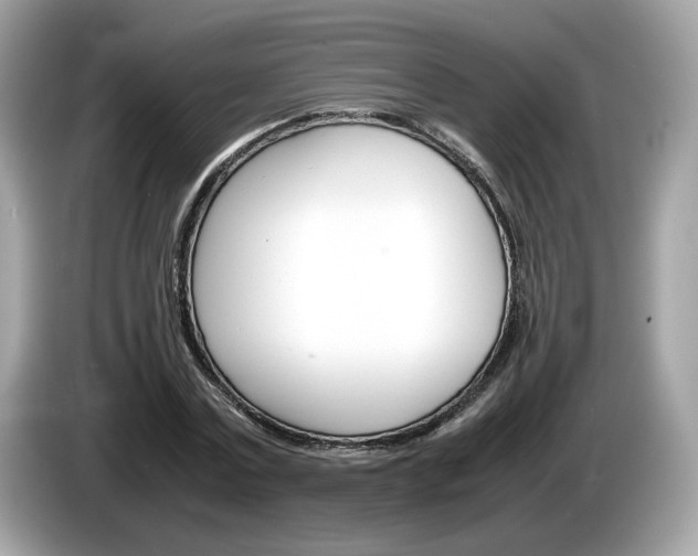 X0000086230779200703290943