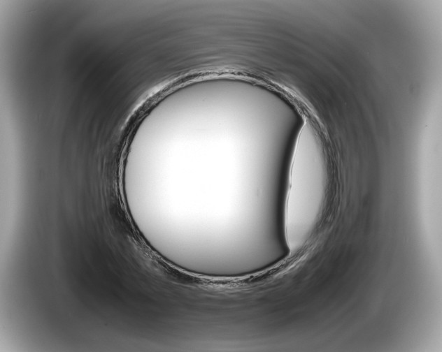 X0000086230781200703290943